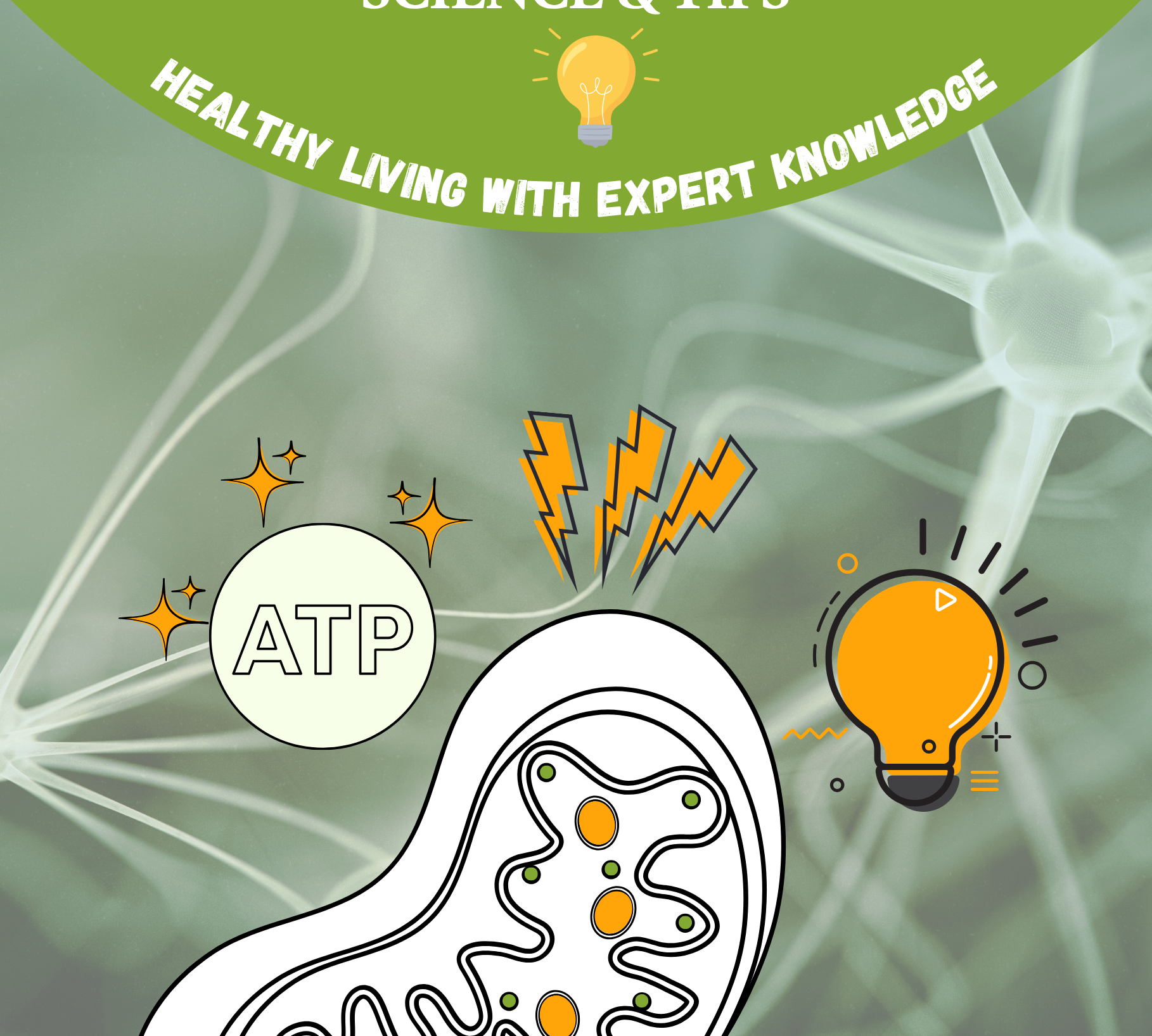 7 Energy Hacks for Everyday Life – How to Activate Your Mitochondria