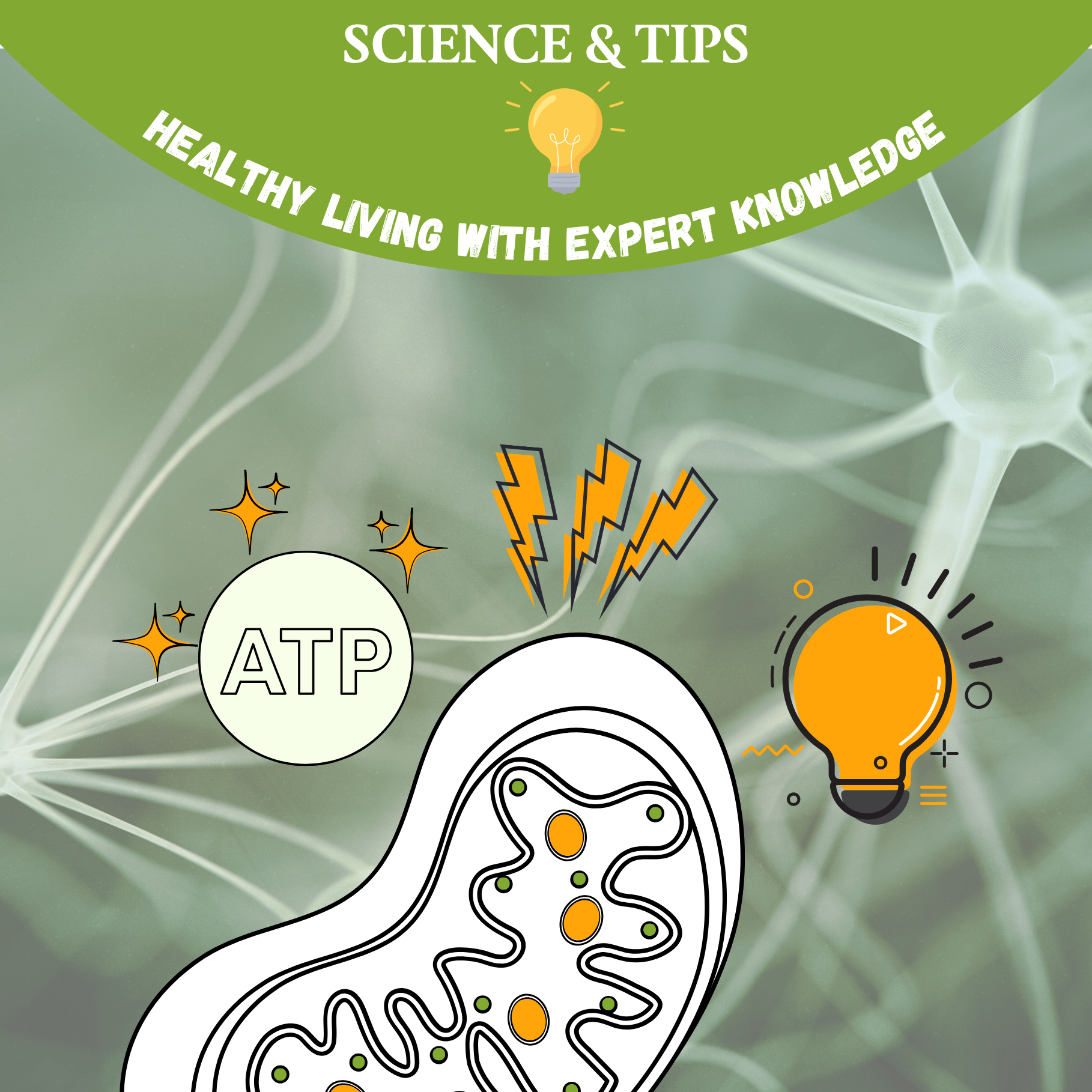 7 Energy Hacks for Everyday Life – How to Activate Your Mitochondria