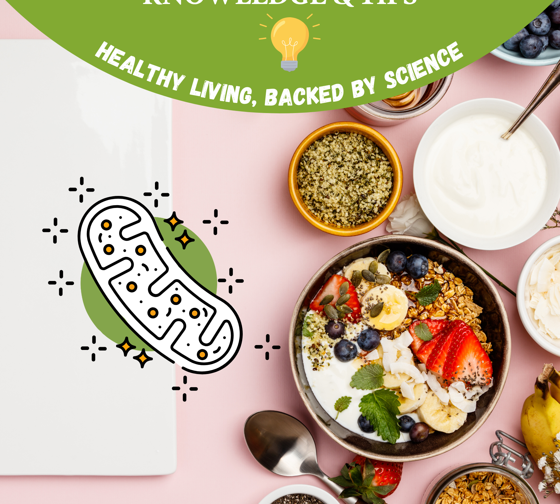 Breakfast bowl with yoghurt, oats, fresh berries, banana and seeds surrounded by healthy ingredients including hemp seeds, chia seeds and coconut — illustrating simple, science-backed breakfast ideas for stable energy