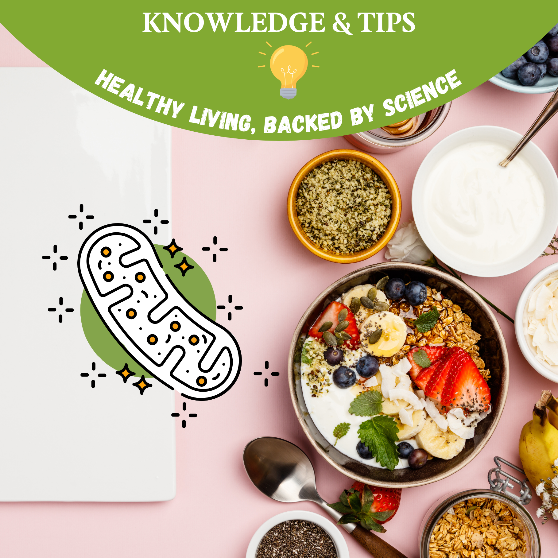 Breakfast bowl with yoghurt, oats, fresh berries, banana and seeds surrounded by healthy ingredients including hemp seeds, chia seeds and coconut — illustrating simple, science-backed breakfast ideas for stable energy