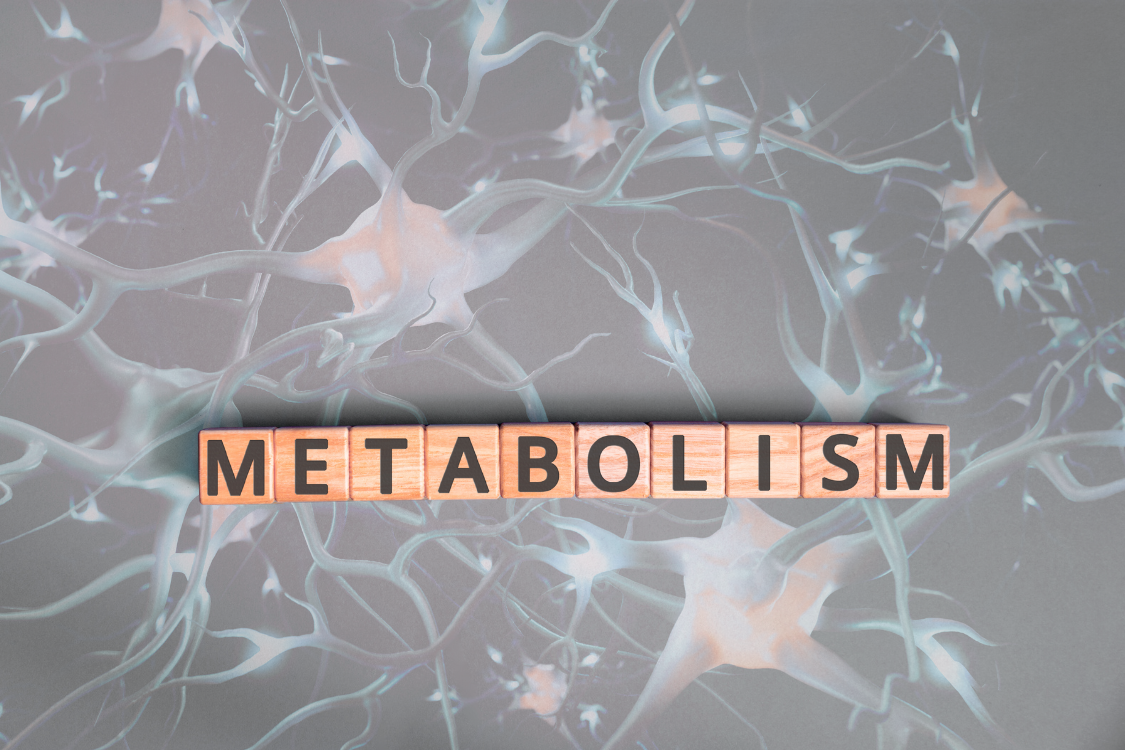 metabolism in wooden cubes with a grey cellular background