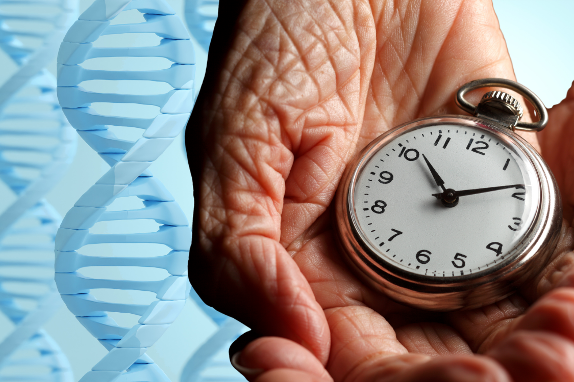 Why is Lifestyle is More Important than Your Genes? Aging is in Your Hands...