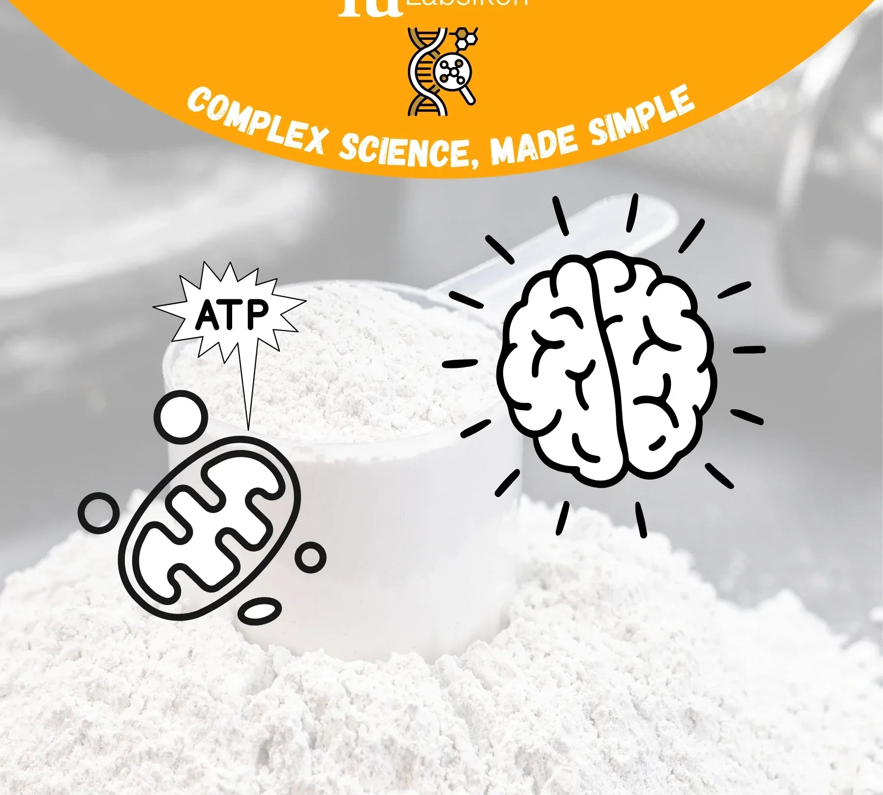 Creatine for Brain Health: What Research Says About Focus, Memory and Mental Energy