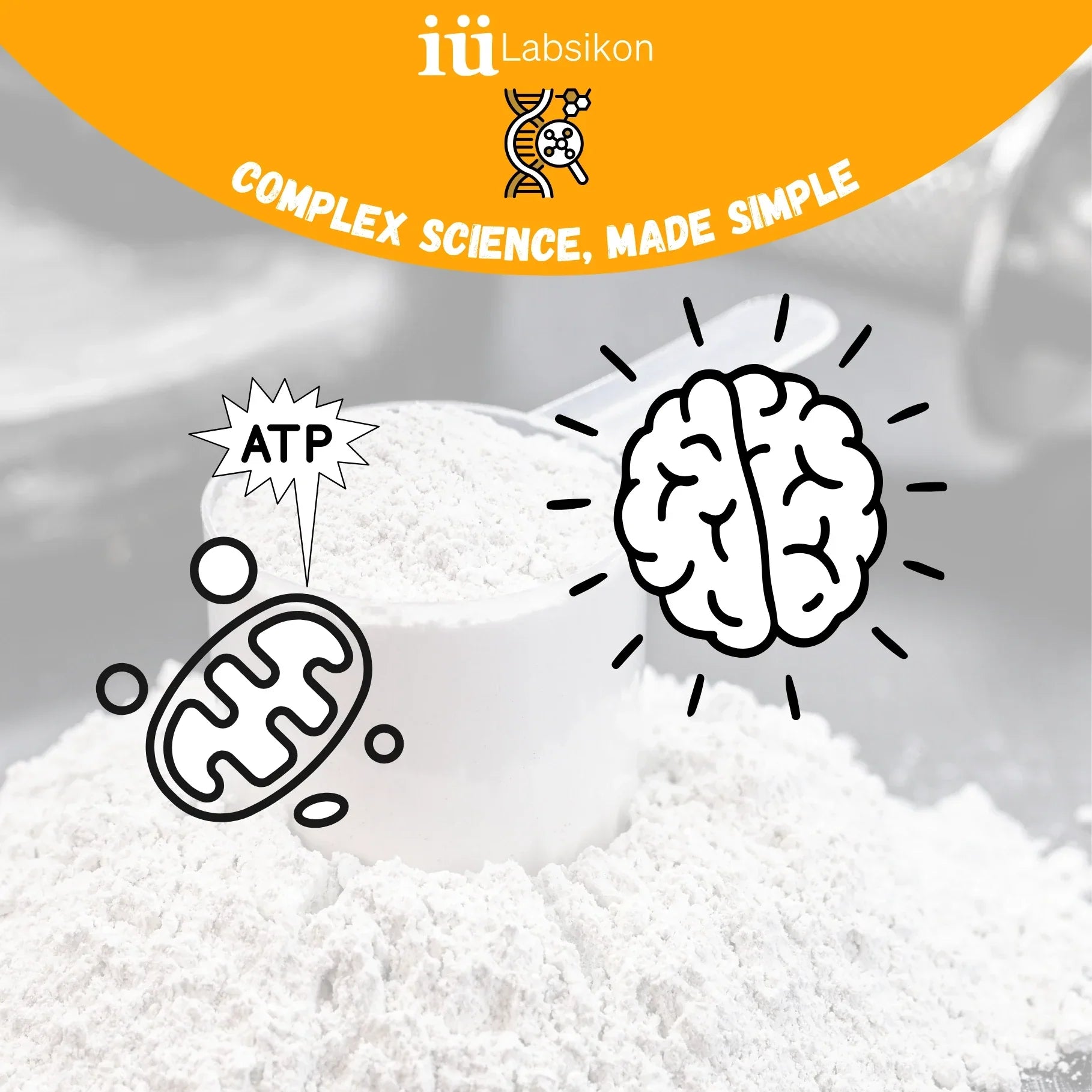 Creatine for Brain Health: What Research Says About Focus, Memory and Mental Energy