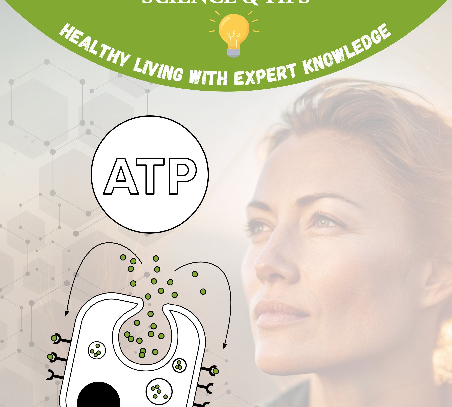 Energy from 40: The Five Metabolic Pathways That Truly Decline