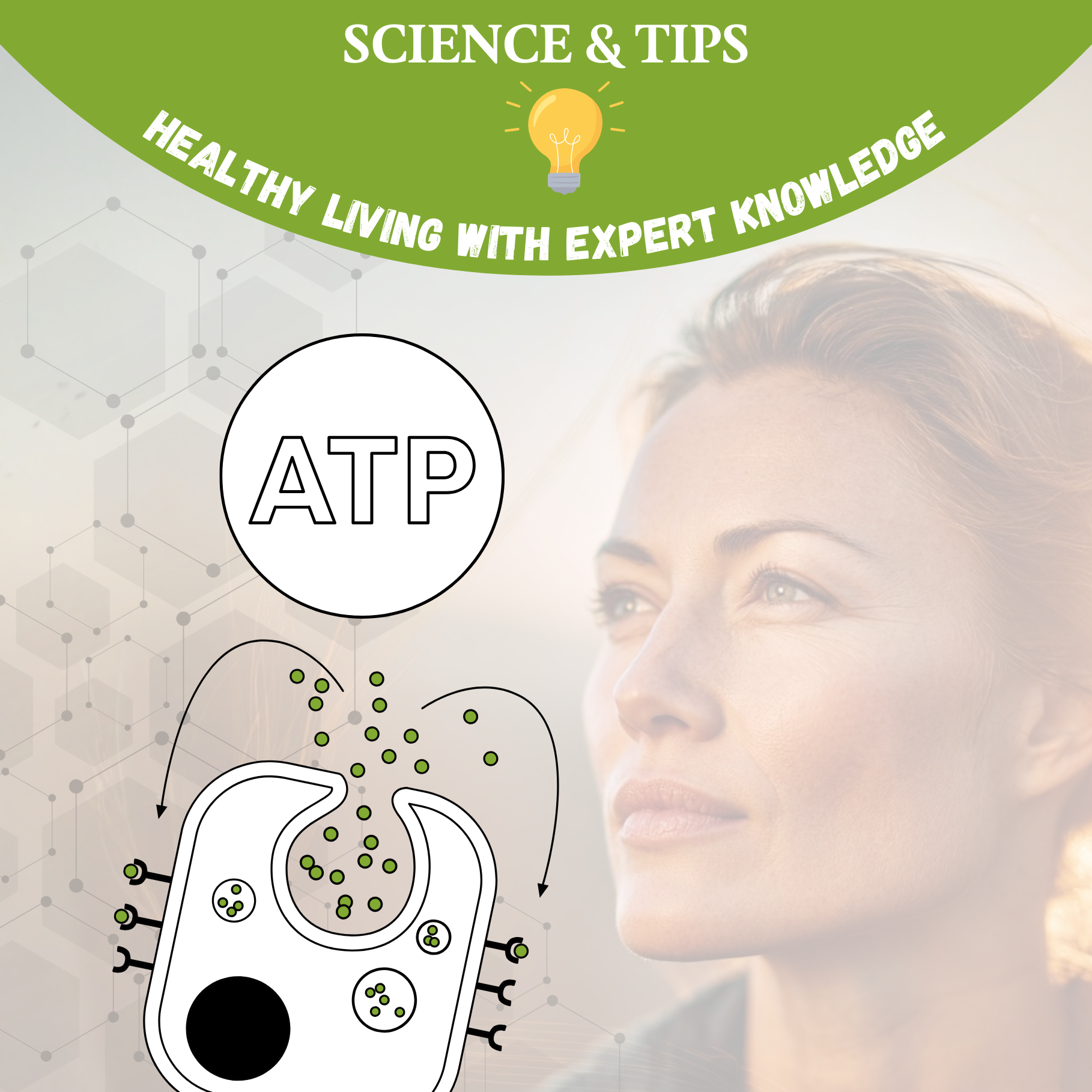 Energy from 40: The Five Metabolic Pathways That Truly Decline