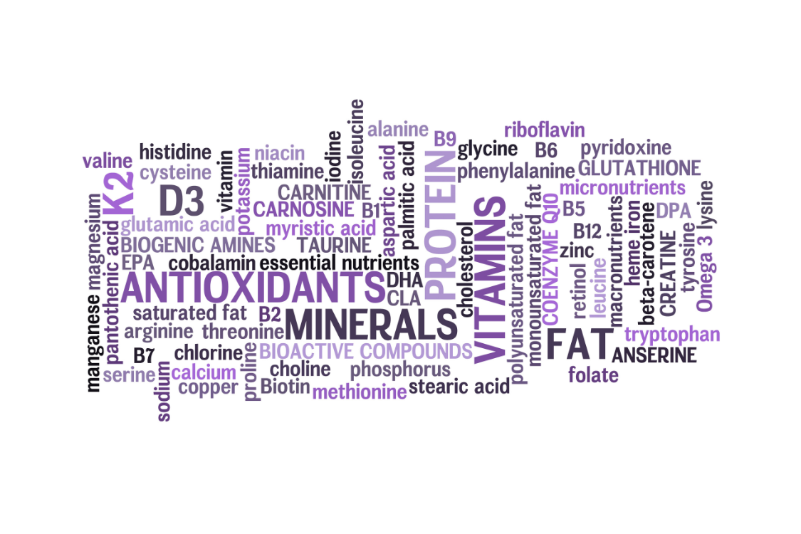 purple word chart of all the different types of nutrients