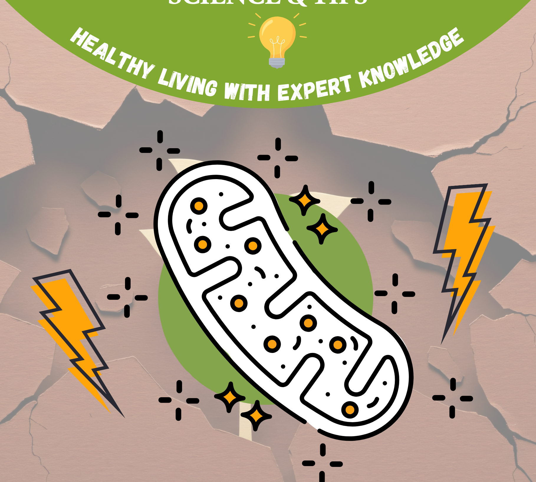 Cellular Resilience: How to Strengthen Your Mitochondrial Stress Response