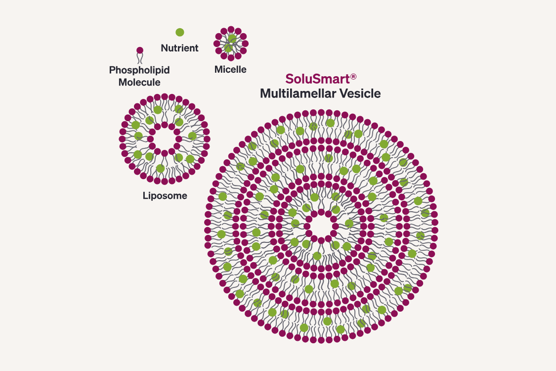 SoluSmart multilamellar vesicle compared to micelle, liposome, in a graphic with nutrients, and phospholipid molecules