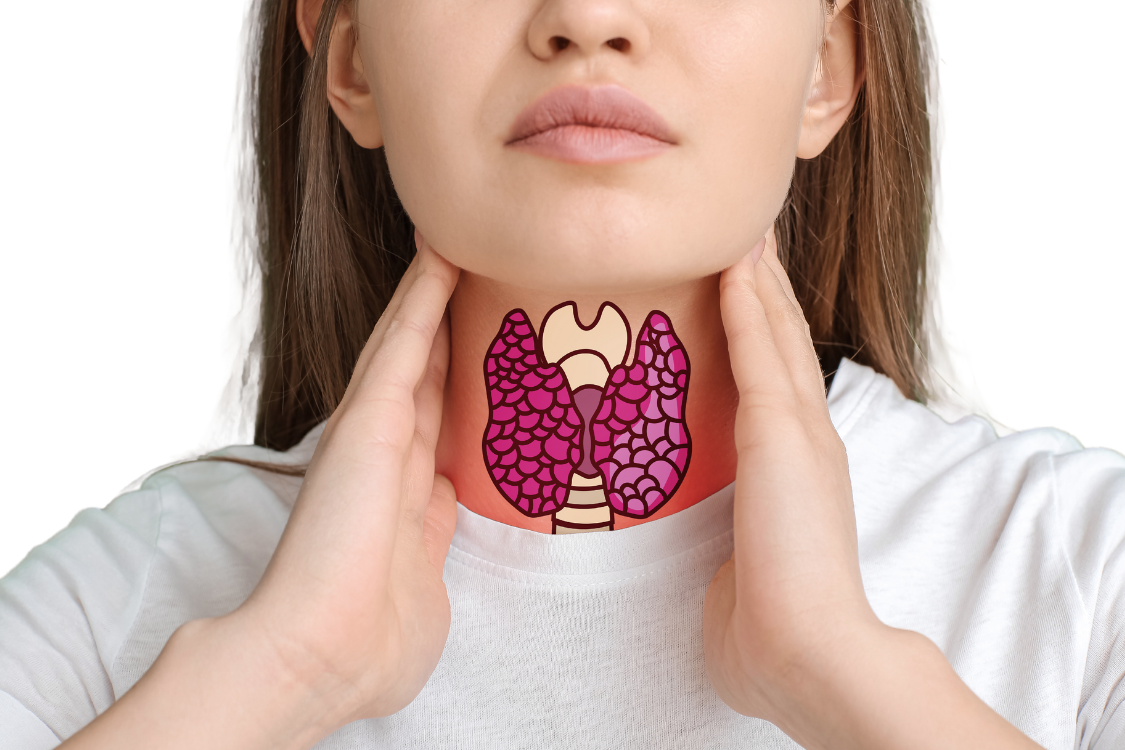 Tyroid Ink Is Your Thyroid Making You Tired? Explore the Link Between Thyroid Fun ...