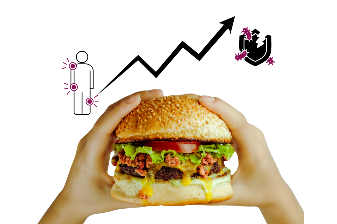 hands holding a burger showing increase in inflammation and poor immune health