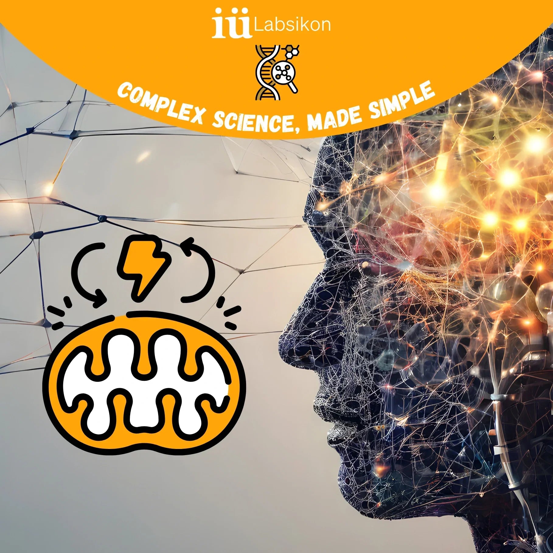 Why Your Brain Uses 20% of Your Body's Energy