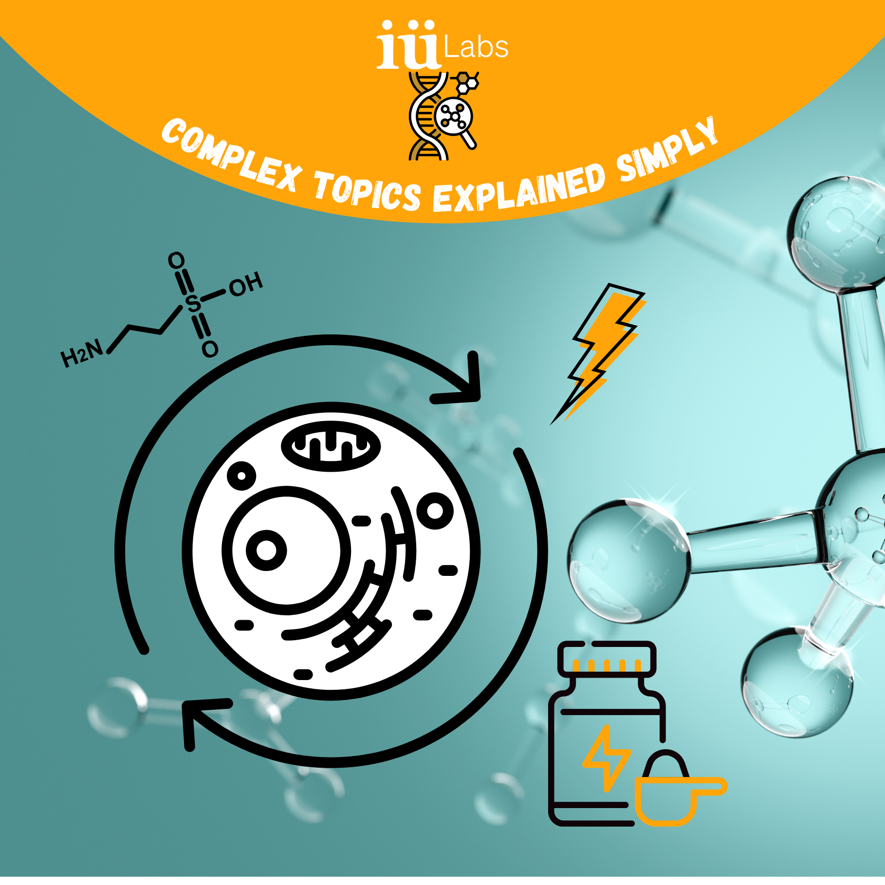 Creatine & Taurine: How Two Unassuming Molecules Boost Your Cellular Energy