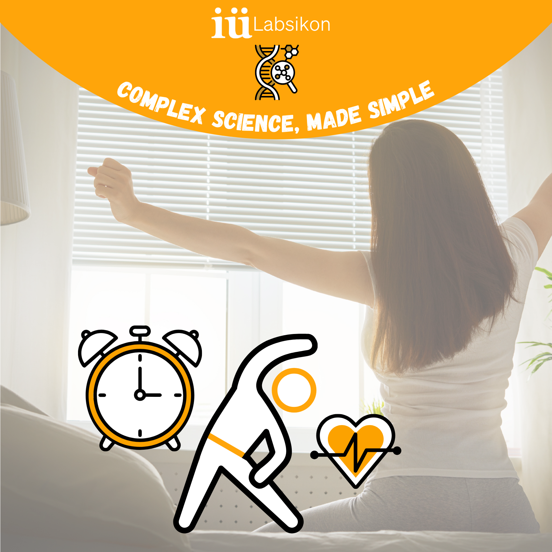 What a Healthy Morning Really Looks Like — Biologically