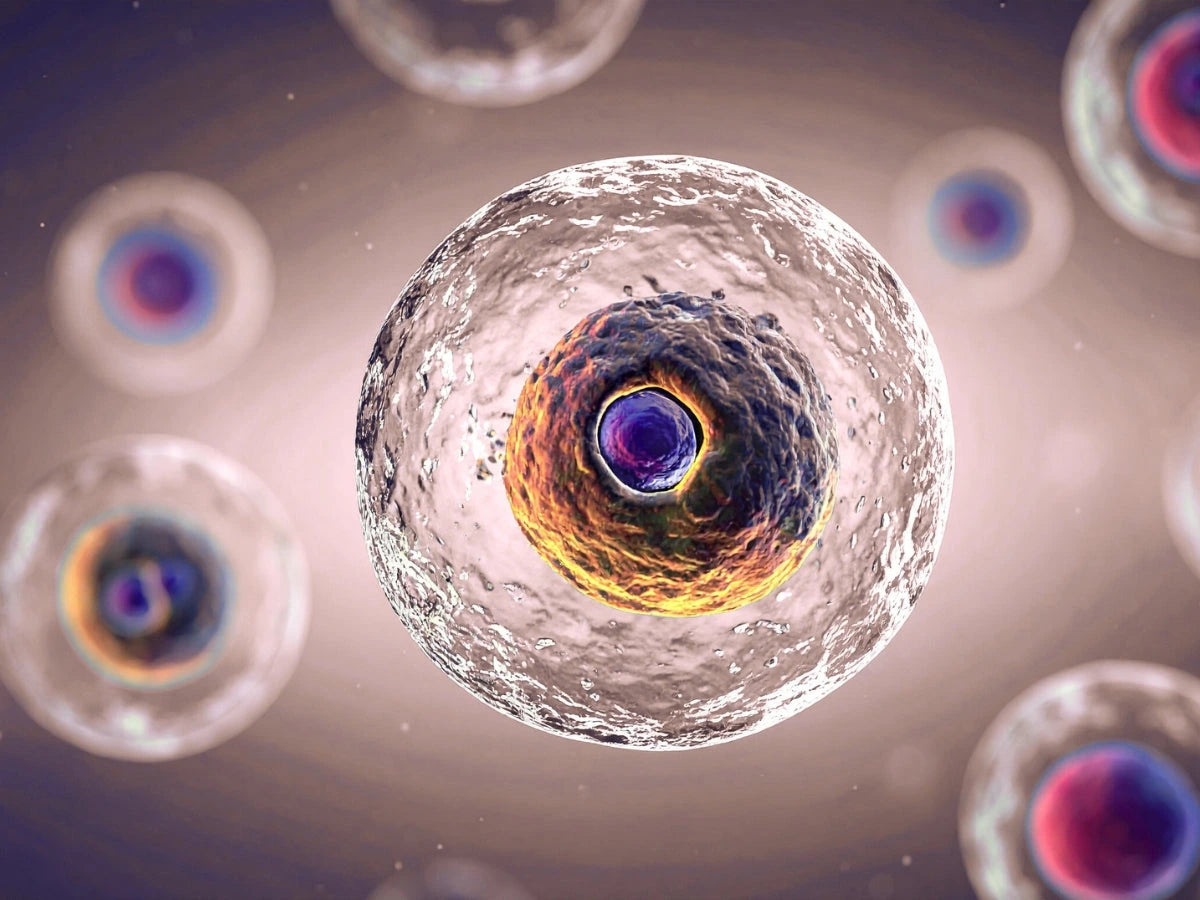 Effects occur at the cellular level
