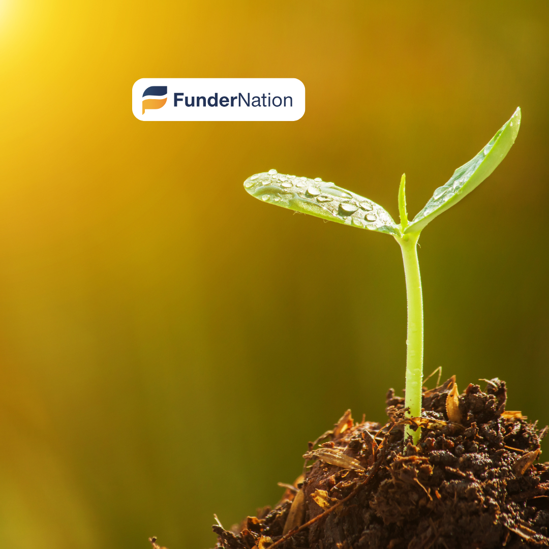 Fundernation_Seedling_Crowdfunding_2.png